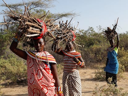 Women from the Samburu tribe who escaped from female genital mutilation and other gender based violence carry firewood on their heads to be used as fuel at the Umoja village where men are restricted, in Samburu near Archers Post in the northern Samburu County, Kenya, February 7, 2023.