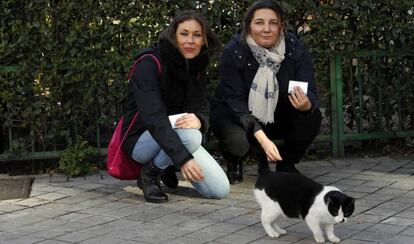 Araceli Jurado y Damaris Ortega muestran sus carnés y uno de los gatos de su colonia.