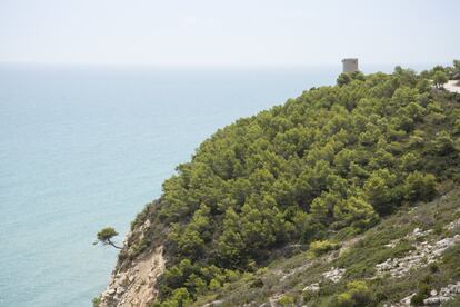 Quienes crean que la costa mediterránea es una masa de hormigón con vistas al mar, se equivocan. Algunos espacios permanecen vírgenes y protegidos de la mano humana. Así ocurre en la sierra de Irta, un enclave natural a poco más de una hora en coche de Castellón que se extiende por los municipios de Alcalà de Xivert, Santa Magdalena de Pulpis y Peníscola, y que aúna la belleza del mar y la montaña. Se trata de una de las útimas zonas vírgenes del litoral valenciano: 13 kilómetros de costa inalterada en la que se van sucediendo acantilados y recónditas calas, como la de Argilaga o la Basseta. Aquí la flora es la típica de una zona semiárida de clima mediterráneo, en la que los pinares viven en diálogo con el palmito, el romero y el fenoll. Una vegetación agreste que se exhibe con toda su fuerza en lugares como el barranco de Font de la Parra y el pico Campanilles. Un paraíso que hay que preservar para futuras generaciones, aunque cada año lo visitan entre 70.000 y 80.000 personas.