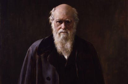 Retrato de Charles Darwin, por John Collier, realizado en 1883.