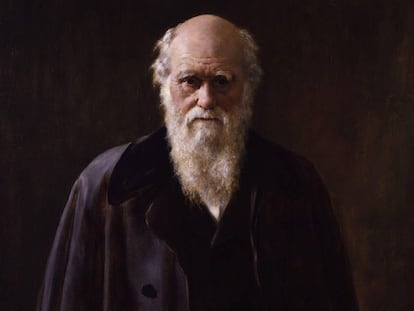 Retrato de Charles Darwin, por John Collier, realizado en 1883.