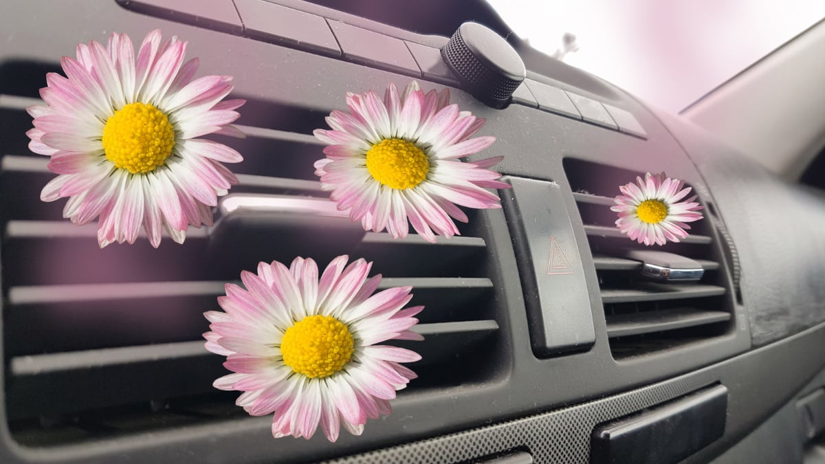Estos son los beneficios de utilizar ambientador de coche en lata