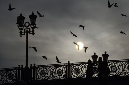 Palomas vuelan entre los peatones que caminan por el puente del patriarca en Moscú.