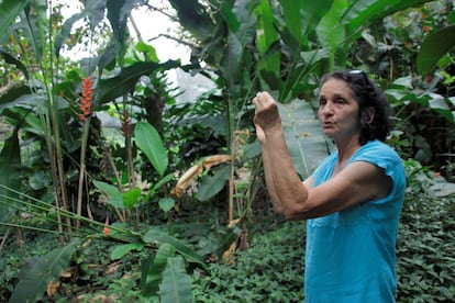 María Rosa Cardona decidió plantarle cara a la caña. Sembró algunas plantas tradicionales y “abrió un sendero ecológico” que ahora alquila para visitantes que quieran conocer cómo era el Valle del Cauca antes de que el  monocultivo de caña se volviera extensivo.
