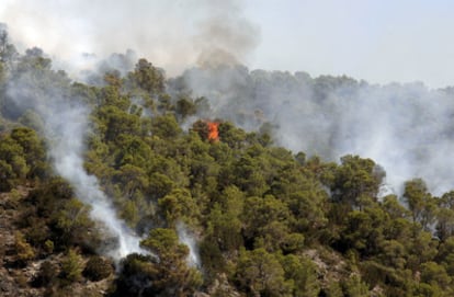 Imagen del incendio forestal declarado cerca de la playa de Benirrás, en Ibiza.