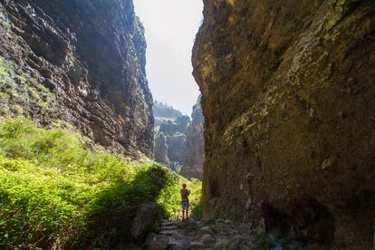 El Barranco del Infierno, en la isla de Tenerife.