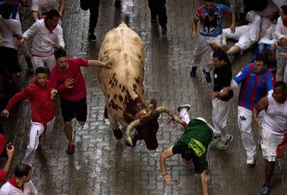 Toros de la ganadería de José Escolar Gil durante su recorrido por las calles de Pamplona.