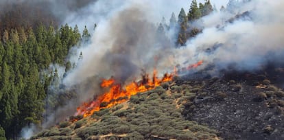 Vista del incendio declarado este sábado en la zona de Artenara, en el oeste de la isla de Gran Canaria.