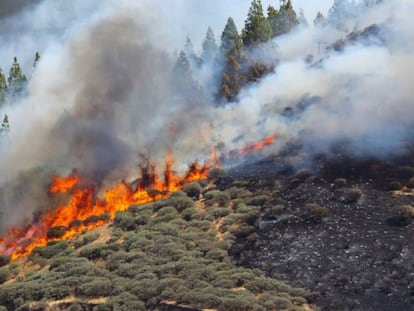 Vista del incendio declarado este sábado en la zona de Artenara, en el oeste de la isla de Gran Canaria.