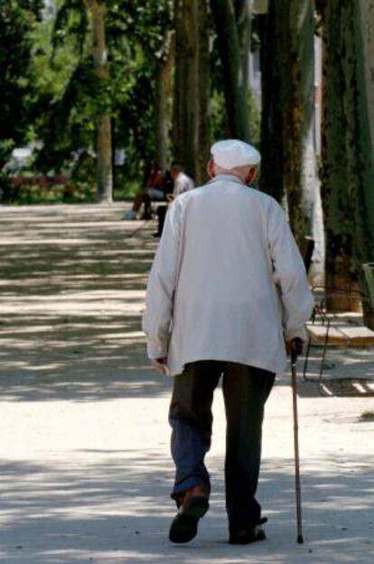 Un anciano camina a la sombra en el parque del templo de Debod, en Madrid. EFE/Archivo