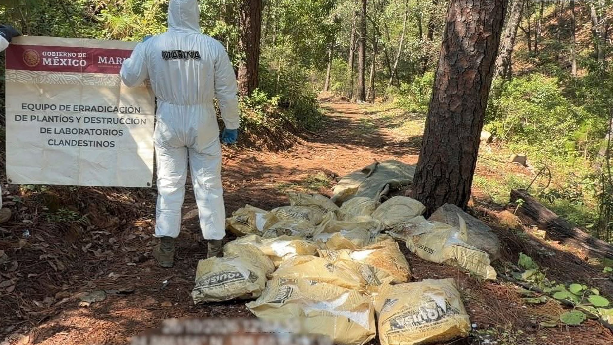 Desmantelados en Durango dos laboratorios con 1,5 toneladas de metanfetamina