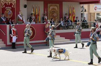 La Legión no ha estado acompañada en el desfile por su tradicional carnero como mascota, sino que un perro ha ocupado su lugar al frente de la compañía.