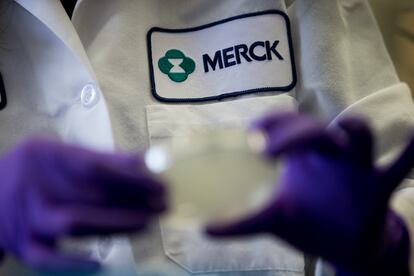 A Merck scientist conducts researc