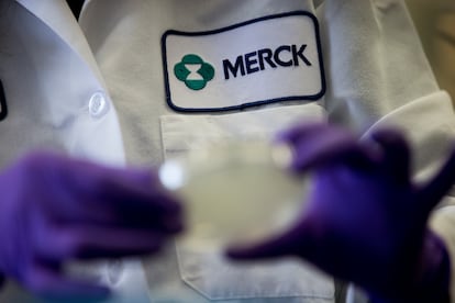 A Merck scientist conducts researc