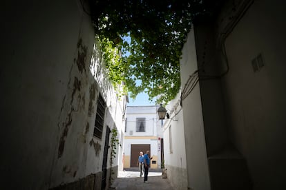 Emparrado en la calle Cadenas del centro histórico de Jerez, el pasado miércoles.
