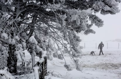 Una persona pasea con su perro entre la nieve y la niebla en el Alto de El Perdón en Navarra, el 14 de enero.