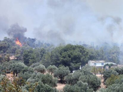 Incendio forestal en la ribera del Ebro, la semana pasada.