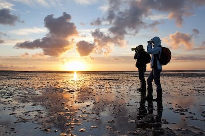 Ameland, apodada Diamante de las Wadden (en la foto), es una de las islas Frisias, situadas entre el mar del Norte y el mar de Frisia, en los Países Bajos. Su historia está ligada a la pesca de ballenas, y al ir y venir de los barcos mercantes. Se la conoce por sus dunas de arena y en 2009 recibió el Quality Coast (premio internacional que distingue la calidad medioambiental costera para un turismo sostenible) gracias a su naturaleza y su tranquilidad. Cuenta con las reservas naturales De Hôn y Het Oerd en su parte este. La oficina de turismo ha creado una web especial, 'See and do' ('Ve y haz', en inglés; www.vvvameland.com) para mantener a los visitantes al día de las actividades que se cuecen en la isla.