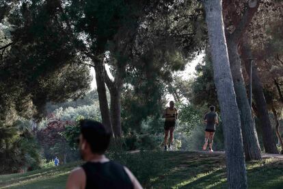 Corredores en el circuito del río que atraviesa zonas que parecen bosques de montaña. 