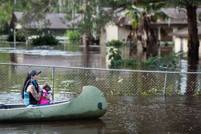 Una mujer y su perro navegan por las calles de Middleburg (Florida) tras el paso del huracán Irma.