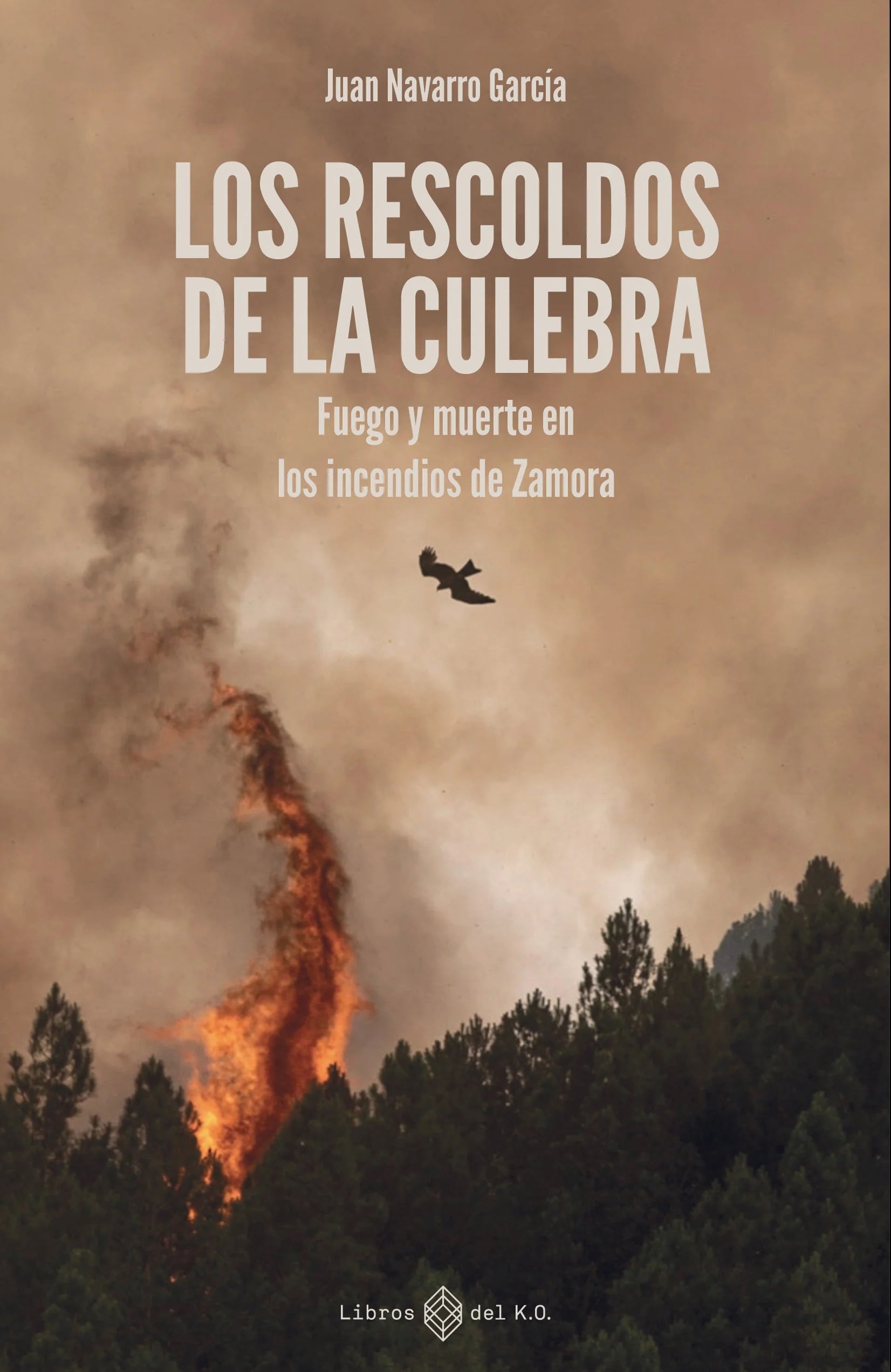 Portada de 'Los rescoldos de la culebra', de Juan Navarro García.