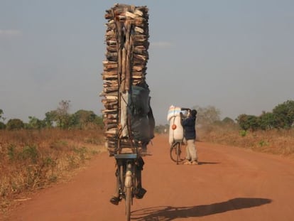 Joven trasladando maderos en su bicicleta en Malawi.
