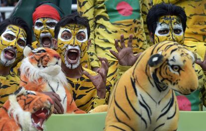 Aficionados bangladesíes al cricket visten como tigres para animar a su equipo durante un partido amistoso entre Bangladés e Inglaterra, en Daca (Bangladés).