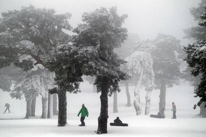 El puerto de Navacerrada, el pasado mi&eacute;rcoles. 