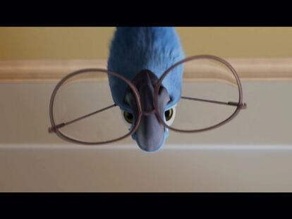 Tráiler de la película 'Rio'