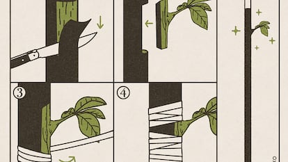 Riki Blanco: la magia de las plantas
