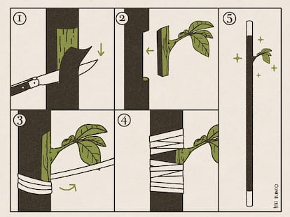 Riki Blanco: la magia de las plantas