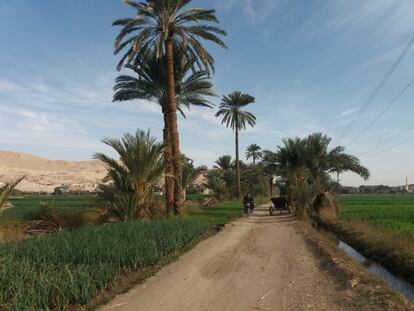 Camino rural en la zona de las necrópolis y templos funerarios de Luxor.