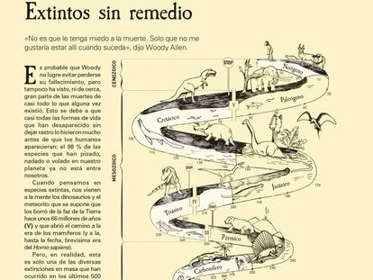 Reprodução de uma ilustração de ‘La historia infográfica del mundo’, de Valentina D’Efilipo e James Ball.