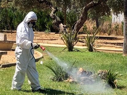 Tareas de fumigación en Almensilla (Sevilla), donde se originó un brote de virus del Nilo en 2020.