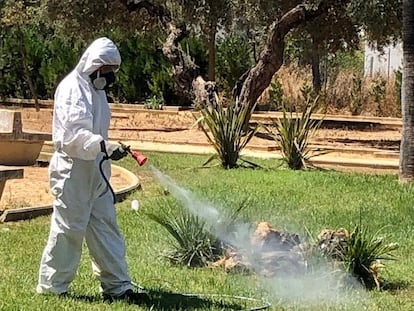 Tareas de fumigación en Almensilla (Sevilla), donde se originó un brote de virus del Nilo en 2020.