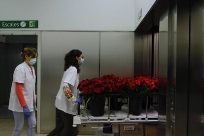 El Hospital Clínic celebra Sant Jordi con rosas y libros.