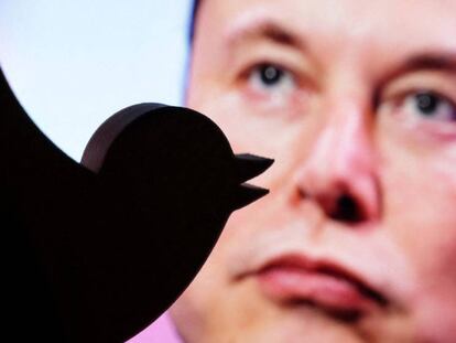 Logo de Twitter sobre una imagen de Elon Musk