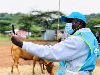 El director general de Telkom Kenia, Mugo Kibati, utiliza su teléfono móvil para probar el internet de la tecnología Loon a través de una videollamada.