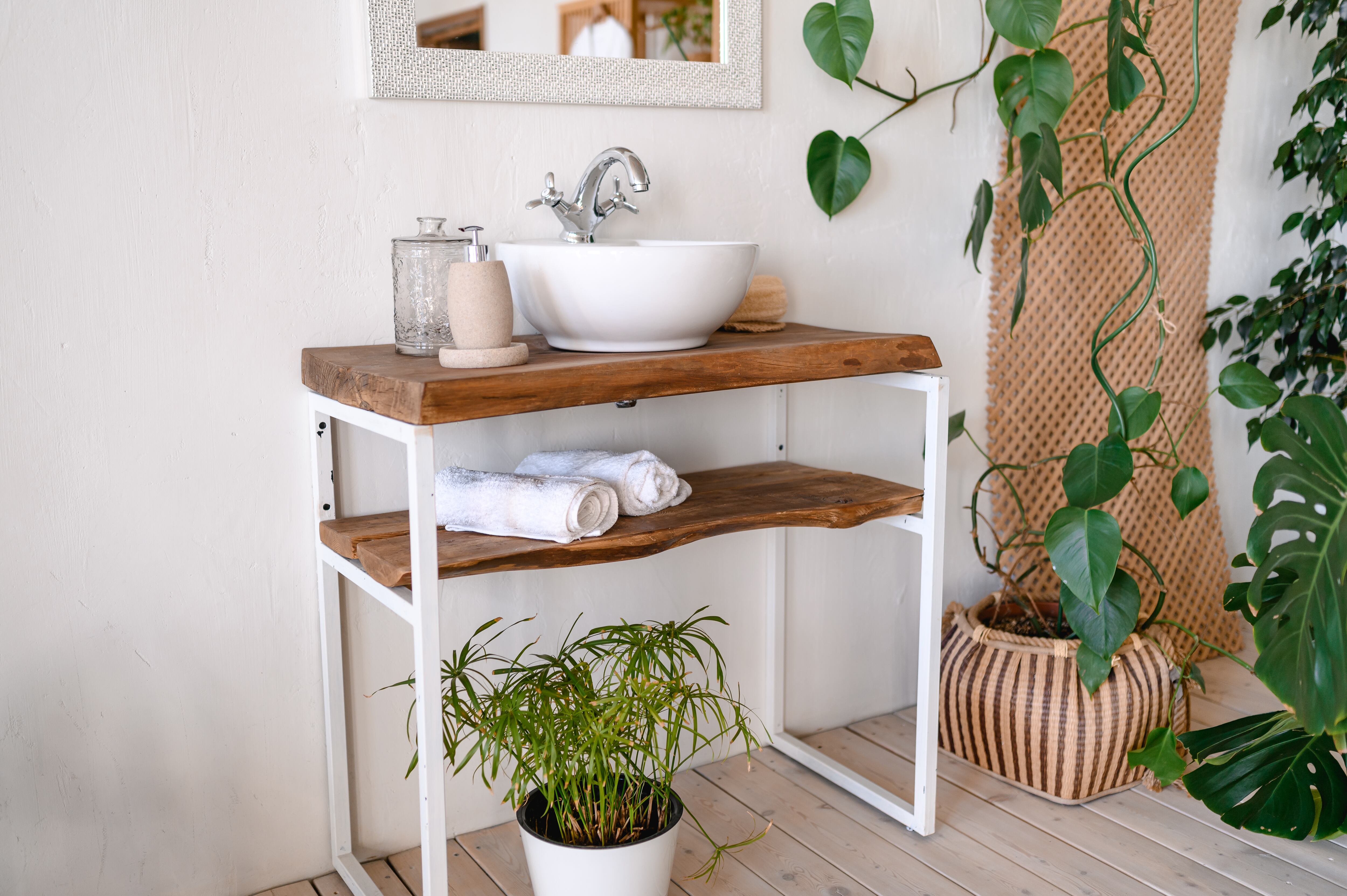 Cuarto de baño decorado con una gran variedad de plantas que sobreviven a la humedad de esta estancia del hogar. 