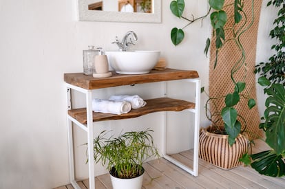 Cuarto de baño decorado con una gran variedad de plantas que sobreviven a la humedad de esta estancia del hogar. 