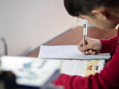 Un niño hace sus deberes en casa.