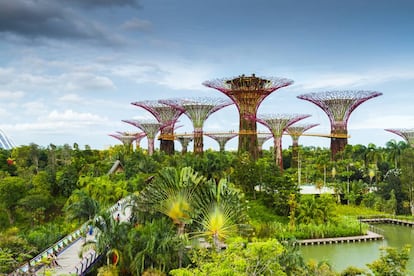 Las estructuras arb&oacute;reas de Gardens by the Bay.