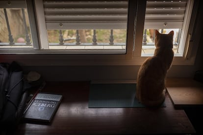 Da la impresión de que Dante se da cuenta de la situación, también parece estar en estado de alerta. Mira, solo mira a través de la ventana. A su lado, en mi mesa, un libro que puede ser premonitorio, 'La punta del iceberg', de J.J.Benítez.