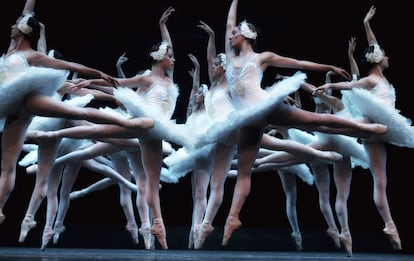 Los cisnes en su conjunto expresan un deseo de vuelo y de libertad. La evolución del cuerpo de baile está sujeto a una rigurosa gestualidad particular marcada por el movimiento armónico de los brazos como alas.