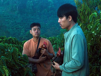 Los dos protagonistas de 'El árbol de las mariposas doradas'.