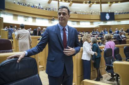 Pedro Sánchez, durante la sesión de control en el Senado