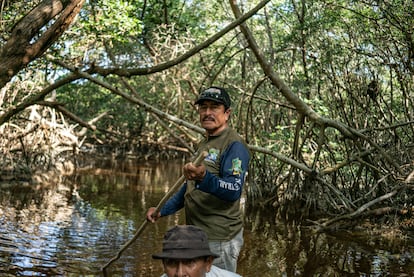 Tourists who visit the mangroves can canoe through natural tunnels made by forests. They can see all kinds of animals, from various species of birds, to pink flamingos or lizards. The president of the cooperative – Mauricio Dzul – now dreams of being able to increase the ecotourism infrastructure with food and accommodation options for tourists, so that they can enjoy the place more. While there were facilities built in the past, he explains that they have been lost due to mismanagement.