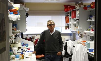 Ginés Morata, en su laboratorio de genética.
