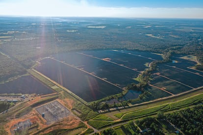 Una planta fotovoltaica de Qualitas Energy.