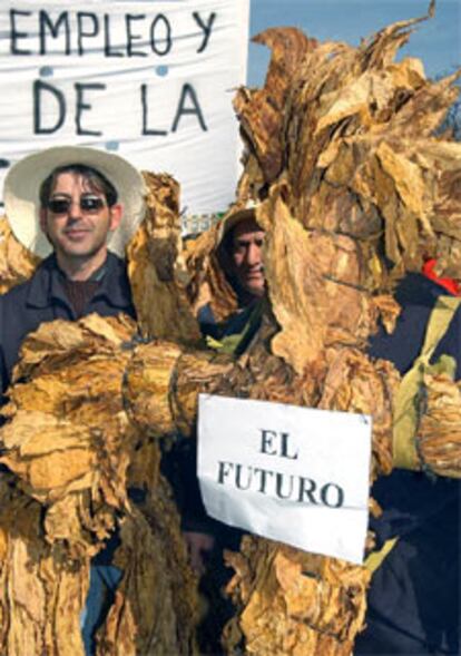 Los productores pasean un muñeco elaborado con hojas de tabaco por las calles de Madrid.